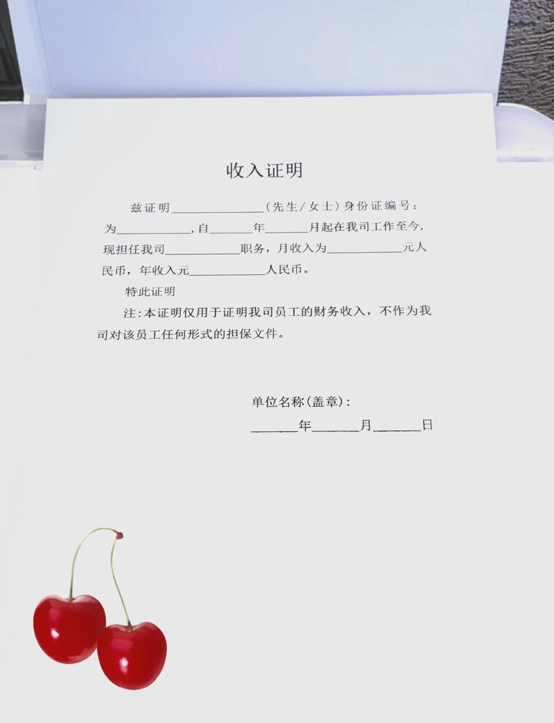 南平代开收入证明的正确姿势：张会计的突围战